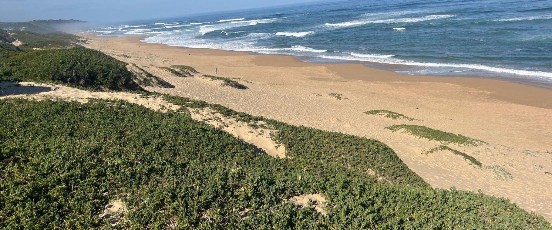 Garden route tour